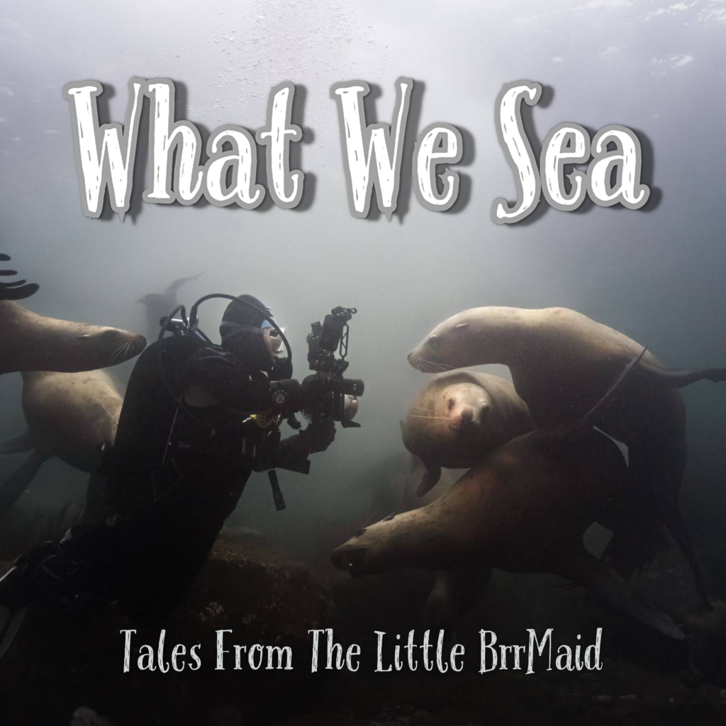 What We Sea, a podcast by The Little BrrMaid